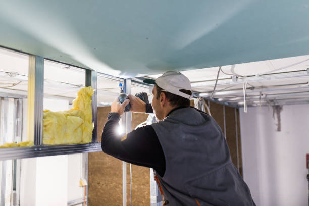 Best Local Insulation Services  in Manchester, OH